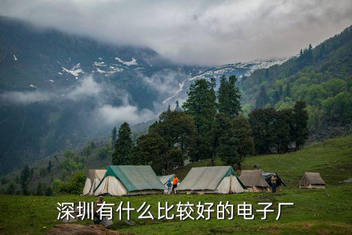 深圳有什么比較好的電子廠