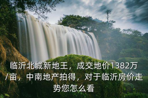 臨沂南坊地王多少畝,臨沂北城新地王