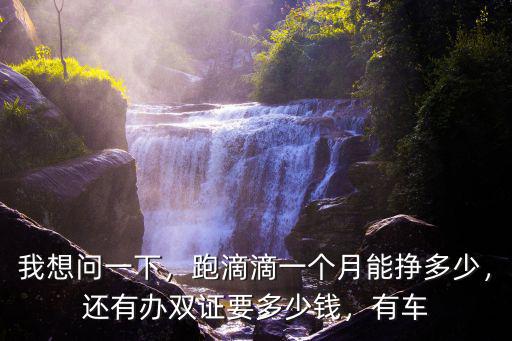 我想問一下，跑滴滴一個月能掙多少，還有辦雙證要多少錢，有車
