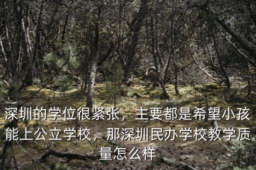 深圳好的民辦小學(xué)怎么進(jìn),在深圳上民辦小學(xué)