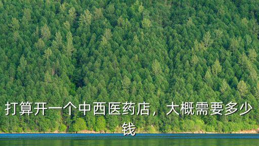 開個(gè)淮安藥店需要多少錢,大概需要多少錢