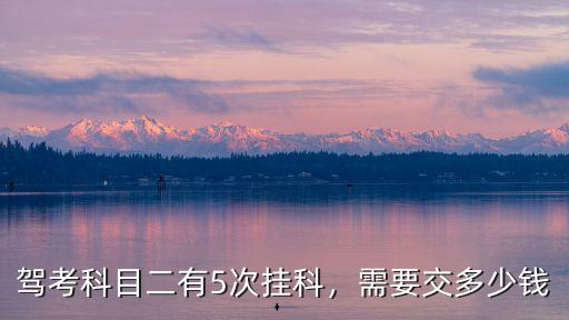駕考科目二有5次掛科，需要交多少錢