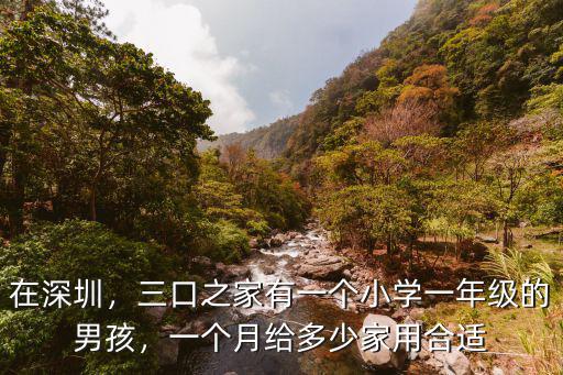 在深圳，三口之家有一個小學一年級的男孩，一個月給多少家用合適