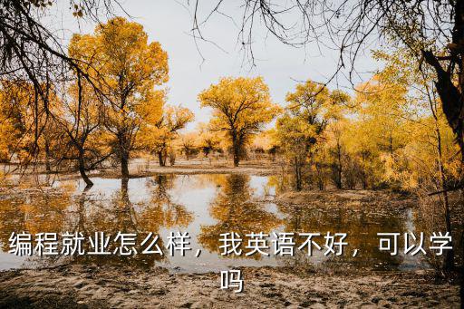 梅州學編程怎么樣,學軟件開發怎么樣