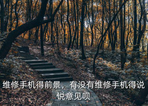維修手機得前景，有沒有維修手機得說說意見唄