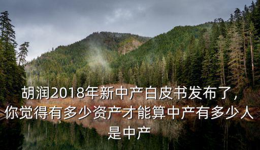 胡潤2018年新中產白皮書發布了，你覺得有多少資產才能算中產有多少人是中產