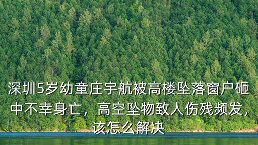 深圳墜窗事件怎么處理,深圳高空墜窗事件