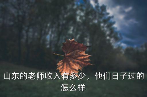 山東三級教授工資多少,山東的老師收入有多少