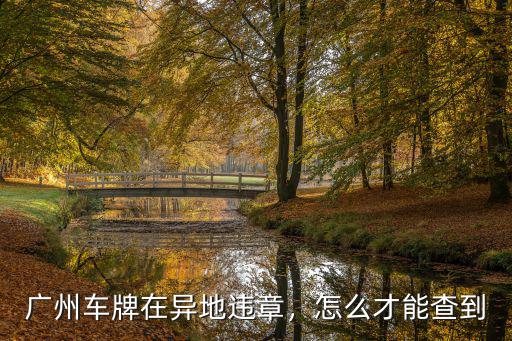 在哪里能看到廣州本地車牌,廣州車牌在異地違章