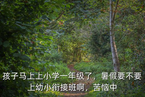 孩子馬上上小學(xué)一年級(jí)了，暑假要不要上幼小銜接班啊，苦惱中