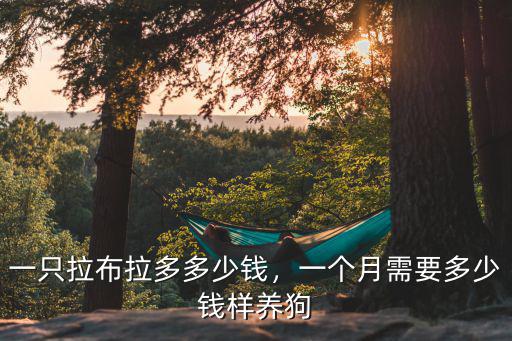 一只拉布拉多多少錢，一個月需要多少錢樣養狗