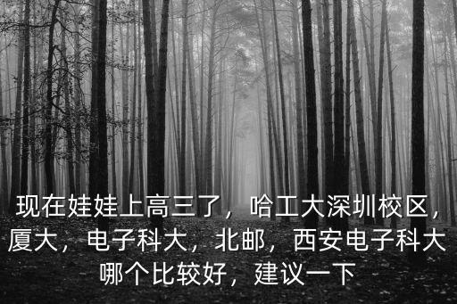 現在娃娃上高三了，哈工大深圳校區，廈大，電子科大，北郵，西安電子科大哪個比較好，建議一下