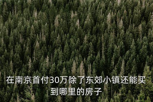 南京房價130萬首付多少,首付130萬