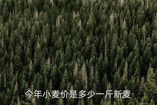 今年小麥價是多少一斤新麥
