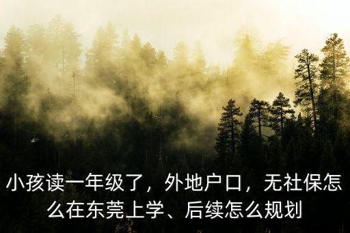 東莞市戶口怎么上小學,后續怎么規劃