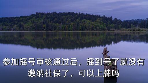 深圳搖號社保審核不通過怎么辦,搖到號了就沒有繳納社保了