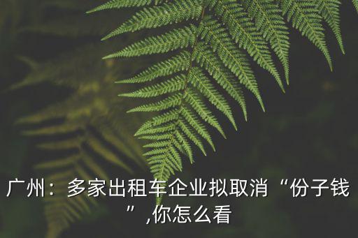 廣州：多家出租車(chē)企業(yè)擬取消“份子錢(qián)”,你怎么看