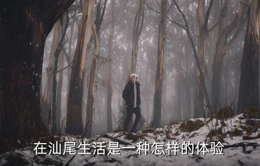 在汕尾生活是一種怎樣的體驗