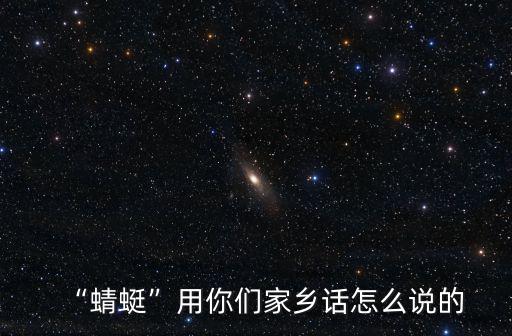“蜻蜓”用你們家鄉話怎么說的