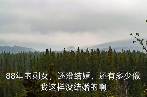 88年的剩女，還沒(méi)結(jié)婚，還有多少像我這樣沒(méi)結(jié)婚的啊