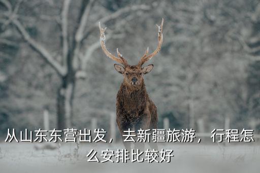 新疆伊犁到山東東營多少錢,從山東東營出發(fā)