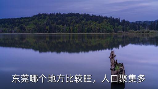 東莞周未人口有多少,有多少人在東莞打工