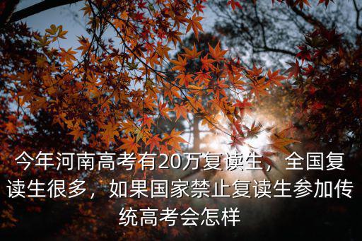 今年河南高考有20萬復讀生，全國復讀生很多，如果國家禁止復讀生參加傳統高考會怎樣