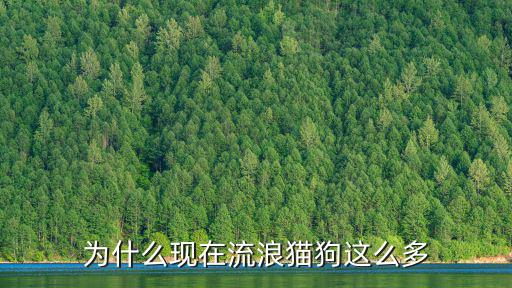 為什么現在流浪貓狗這么多
