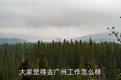 廣州宏興皮具廠怎么樣,廣州皮具市場怎么樣