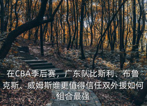 廣東隊外援威姆斯哪里人,廣東隊比斯利