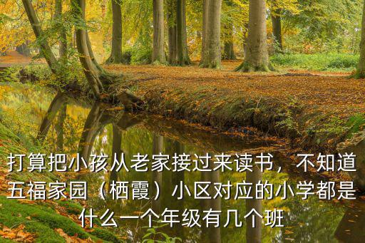 南京小學一個年級有多少個班,一個年級有幾個班