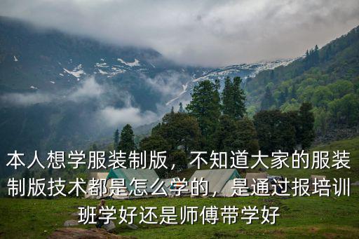 本人想學服裝制版，不知道大家的服裝制版技術都是怎么學的，是通過報培訓班學好還是師傅帶學好
