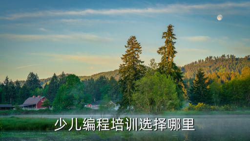 肇慶學編程哪里比較好,少兒編程培訓選擇哪里