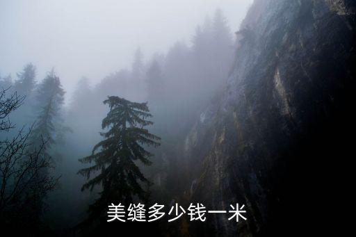 美縫多少錢一米