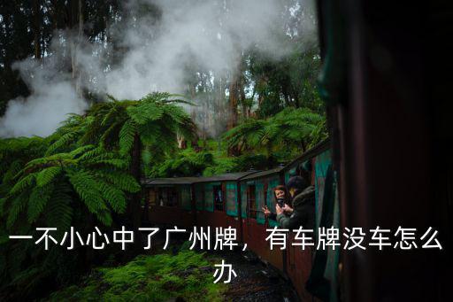 廣州好幾輛車怎么辦牌照,一不小心中了廣州牌