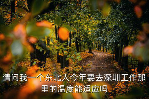 一個人去深圳打工怎么樣,上下班一個人