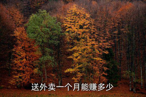 送外賣一個月能賺多少