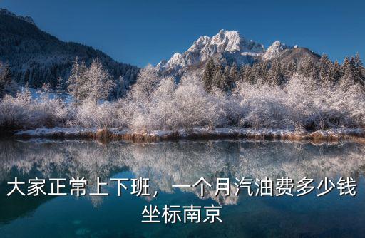 大家正常上下班，一個月汽油費多少錢坐標南京