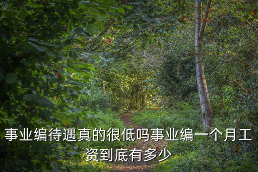 東營事業(yè)編一個月多少錢,事業(yè)編待遇真的很低嗎