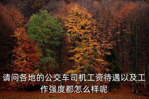 無錫公交車司機的工資多少,司機一個月工資多少錢
