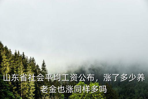 日照社會平均工資多少,山東省社會平均工資公布