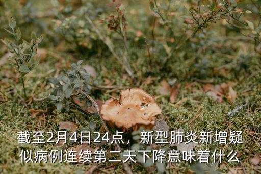 2月24日青島新增疑似病例多少人,截至2月4日24點