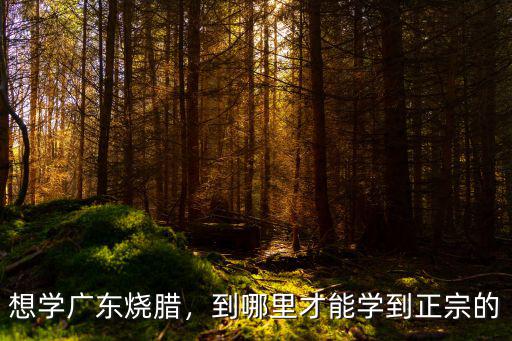 學廣東燒臘哪里好,想學廣東燒臘