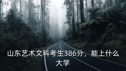 文科多少分能上山東藝術學院,山東藝術文科考生386分