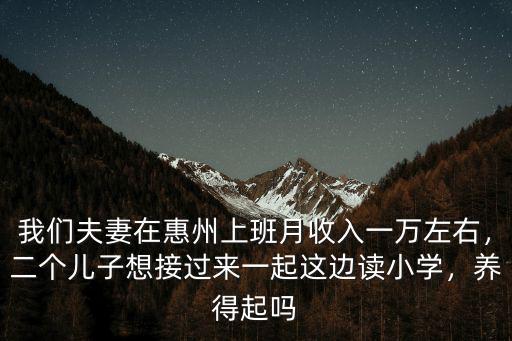 我們夫妻在惠州上班月收入一萬左右，二個兒子想接過來一起這邊讀小學，養得起嗎