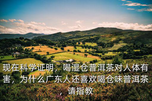 廣東哪里的人比較喜歡喝普洱茶,廣東人為什么那么喜歡飲早茶