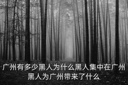 廣州有多少黑人為什么黑人集中在廣州黑人為廣州帶來了什么