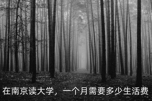 在南京讀大學，一個月需要多少生活費