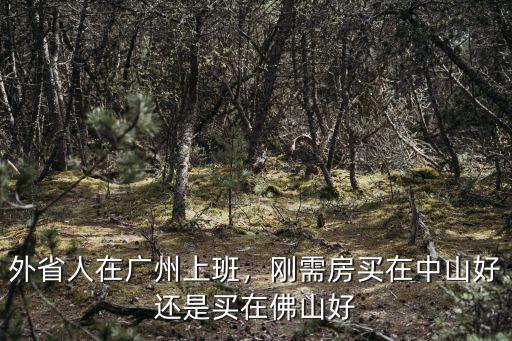 中山剛需房子哪里買比較好,中山剛需房哪里買比較好