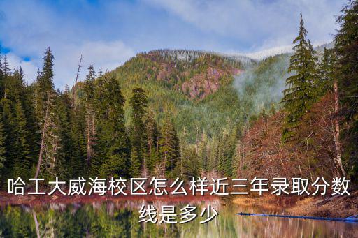 威?？脊ご笮枰嗌俜?哈工大威海校區怎么樣
